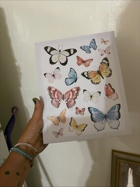 Butterfly Wall Art Poster - Multicolor